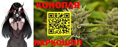 гашик Краснодар