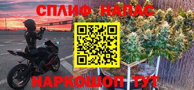 гашик Краснодар