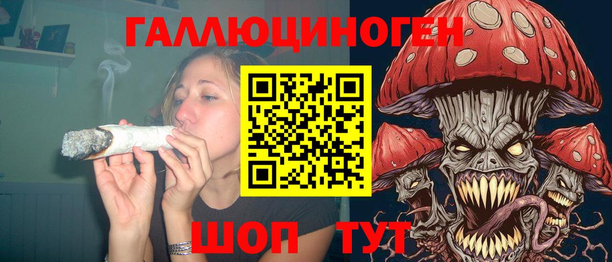 Галлюциногенные грибы MAGIC MUSHROOMS  хочу наркоту  Волхов  Вход с VPN 