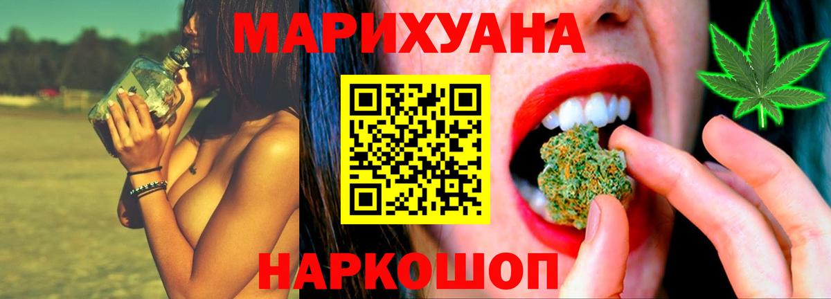 Каннабис сатива Волхов
